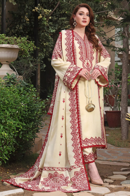 Aneela's Winter Luxury Suit