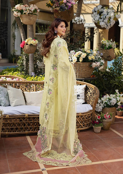 Mahnur luxury 3 PC Embroidered